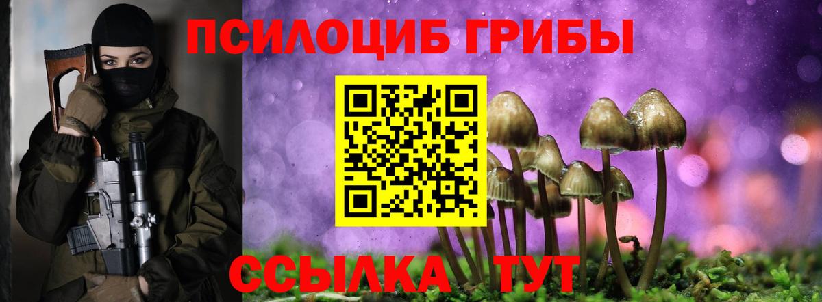 Галлюциногенные грибы прущие грибы Алексин